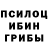 Галлюциногенные грибы Psilocybine cubensis Danigrator Games