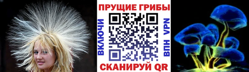 Галлюциногенные грибы Psilocybine cubensis  OMG зеркало  Дюртюли 